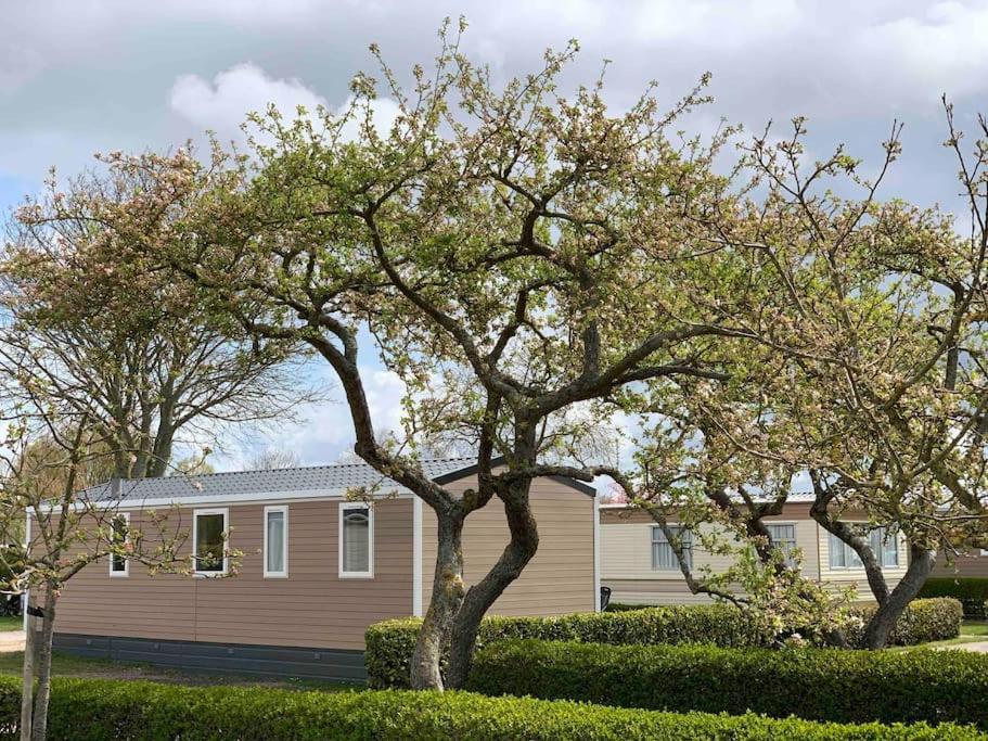 Gezellig Chalet In Het Mooie Zeeland - Oostkapelle Dış mekan fotoğraf