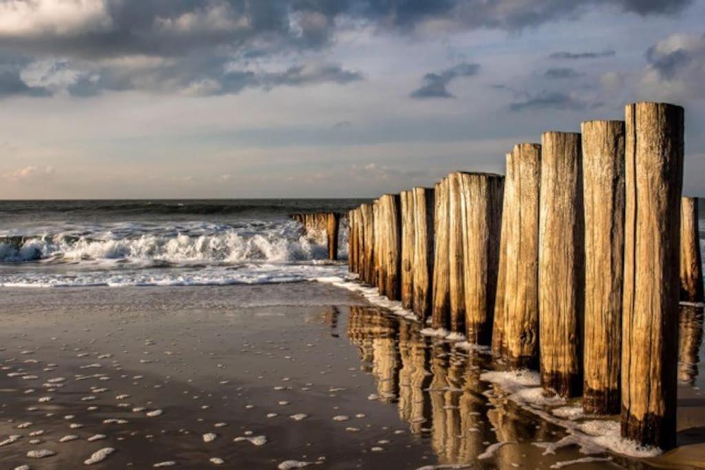 Gezellig Chalet In Het Mooie Zeeland - Oostkapelle Dış mekan fotoğraf